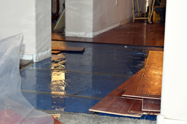 Professional Basement Flood Cleanup technician working in Malta, OH